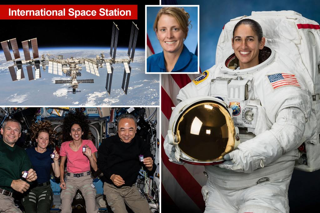 Featured image for "Spacewalk Delays and Hardware Concerns Plague International Space Station Operations"