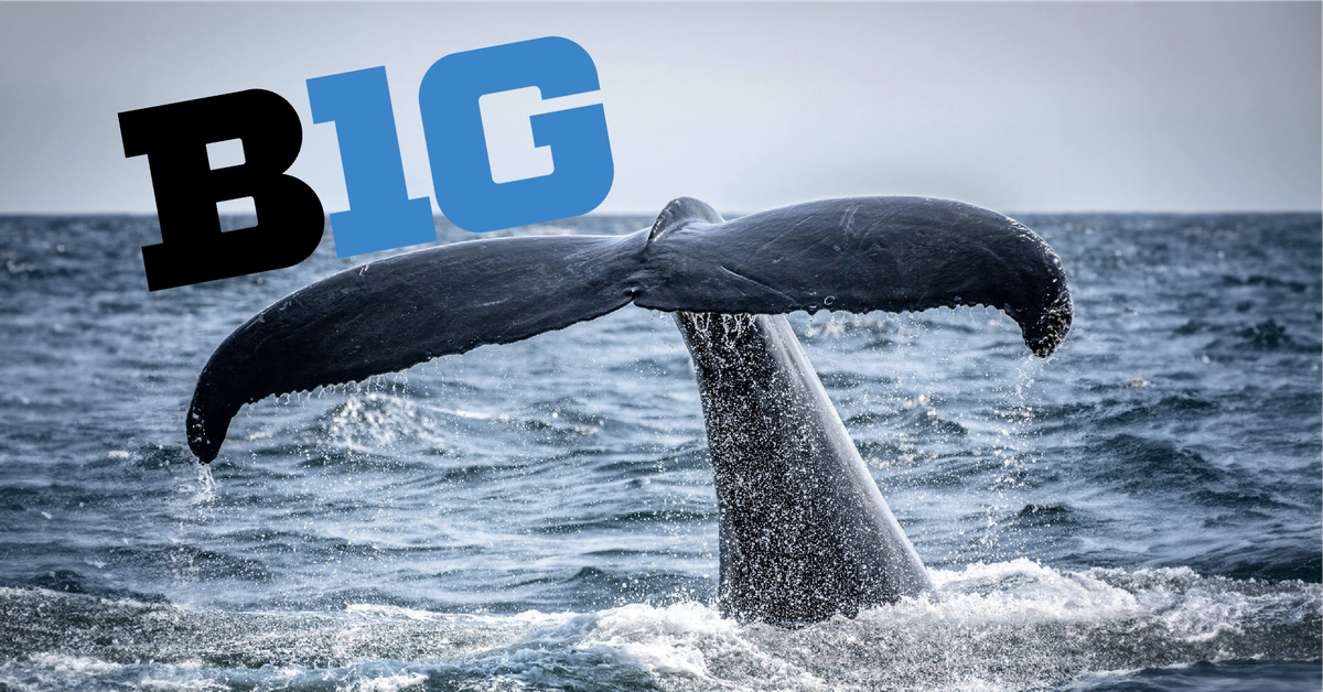Week 11 B1G Power Poll: Whales Make Waves