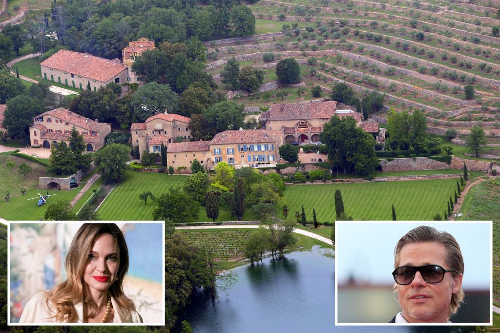 Brad Pitt accuses Angelina Jolie of secret sale of French vineyard stake as revenge.