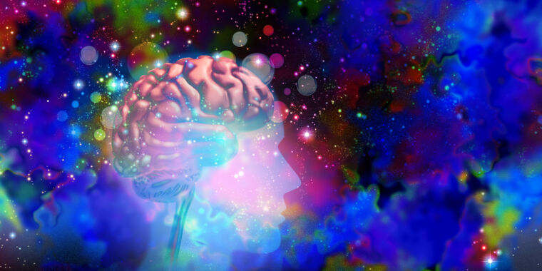 Featured image for "Unlocking the Mind: How Psychedelics and Psychotherapy Spark Rapid Brain Transformations"