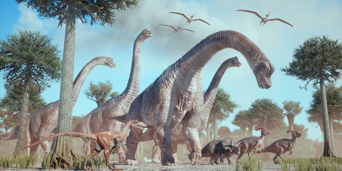 Featured image for Ancient Human Ancestors Co-Existed with Dinosaurs and Survived Extinction