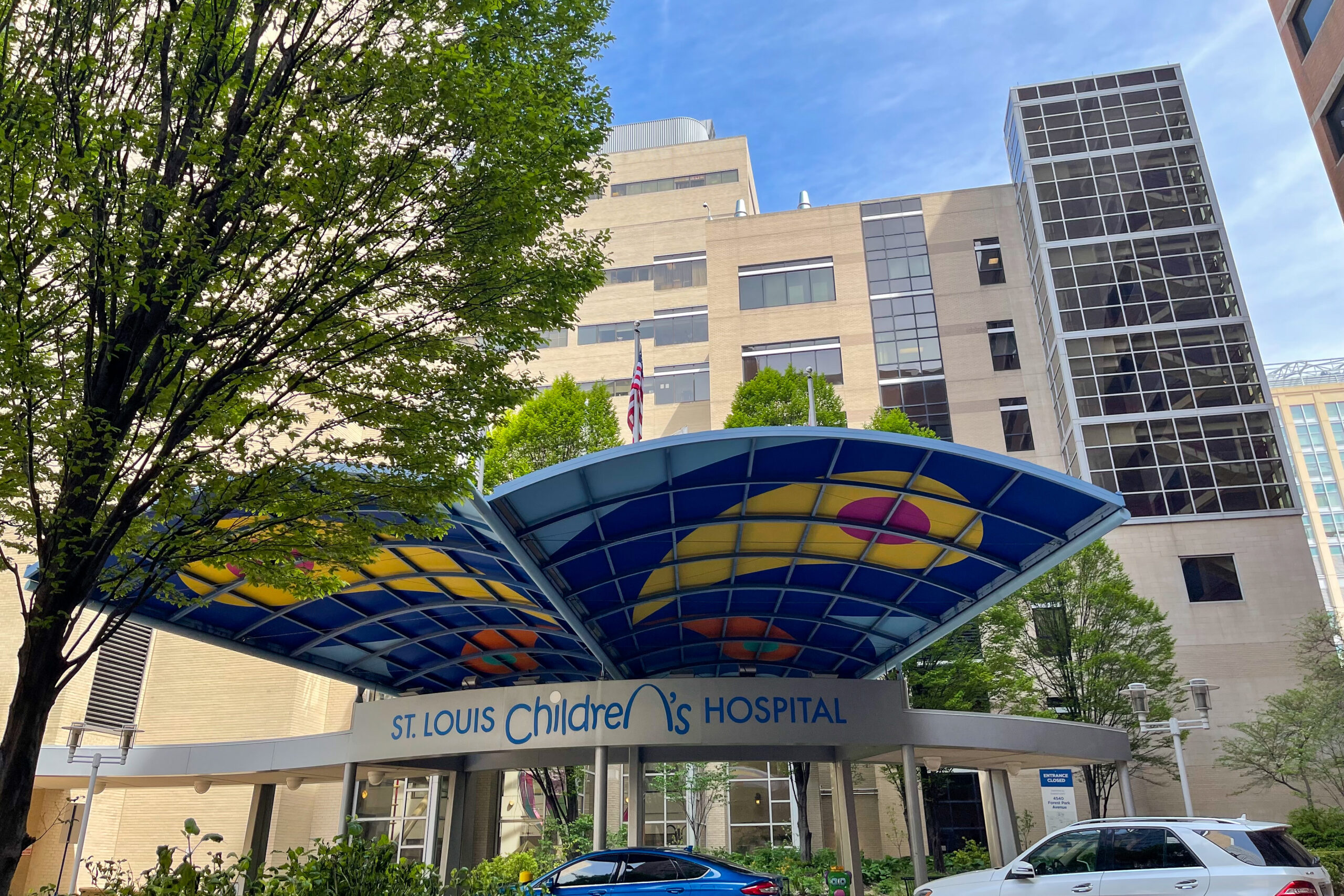 Featured image for "Washington University Joins Missouri's Ban on Transgender Care for Minors"