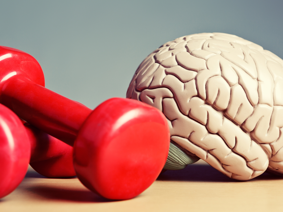 Featured image for "Maximizing Mental Well-being Through Physical Activity: The Strong Link"