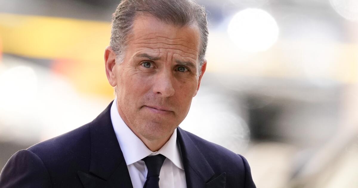Featured image for Hunter Biden Criticizes Democrats and Shares Personal Insights in Recent Interviews