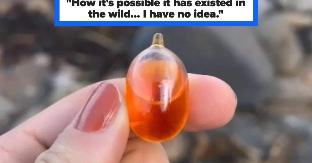 Featured image for Internet Solves Mystery of 47 Odd Objects in 'Handle It With Mittens'