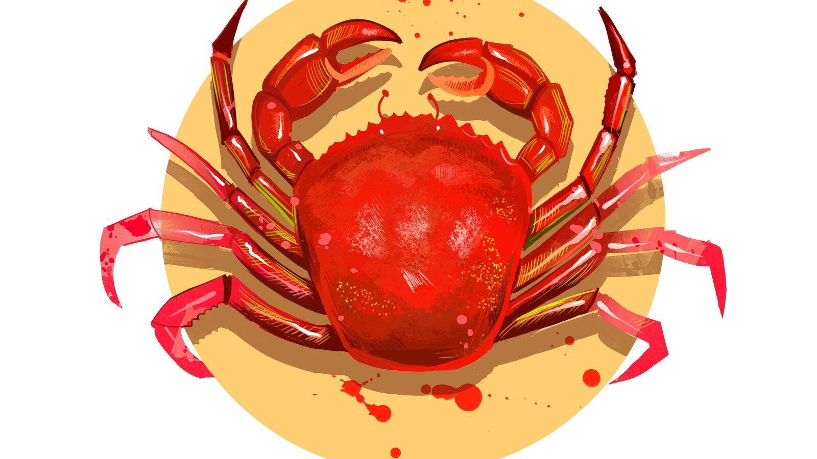 "May 17, 2023 Horoscope: Heavy Expenditure Predicted for Cancer Sign"