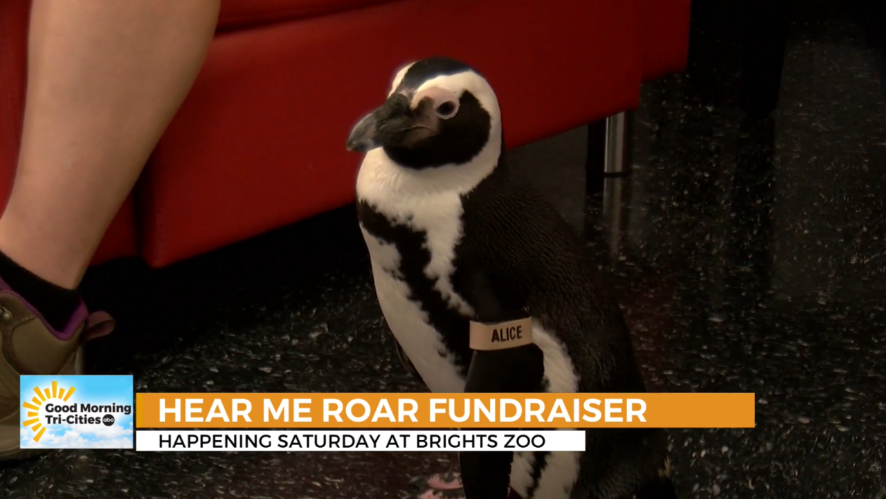 Featured image for Weekend Roundup: Top Events in the Tri-Cities