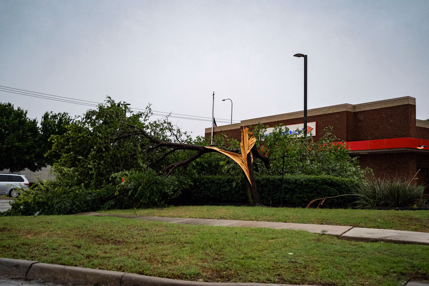 "Severe Storms Trigger Disaster Declaration and Massive Power Outages in Dallas"