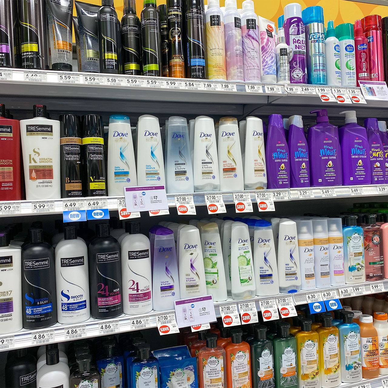 "Expert-Recommended Shampoo Ingredients for Hair Loss and Shedding"