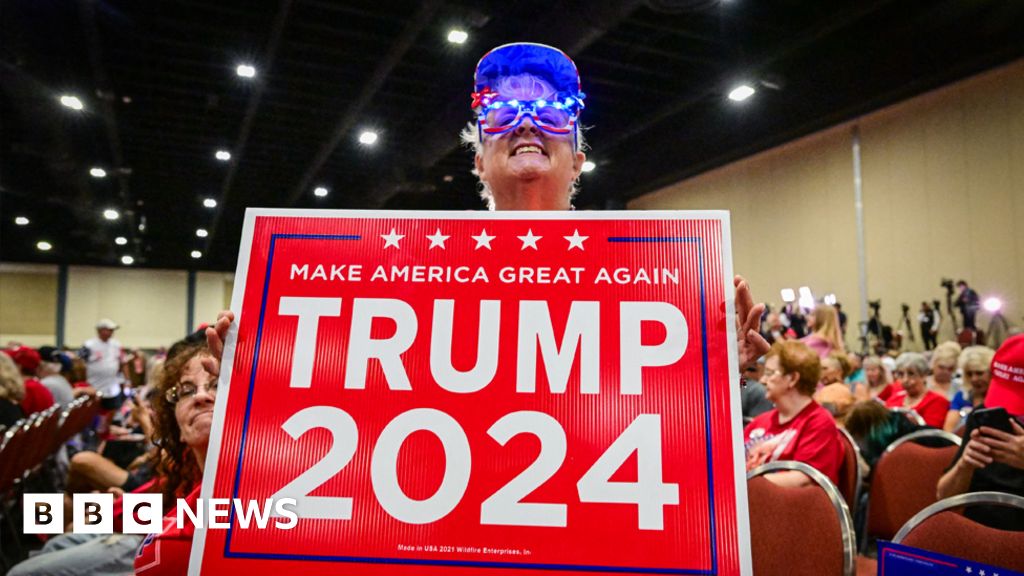 "Nikki Haley's Battle Against Trump's Dominance in New Hampshire Primary"