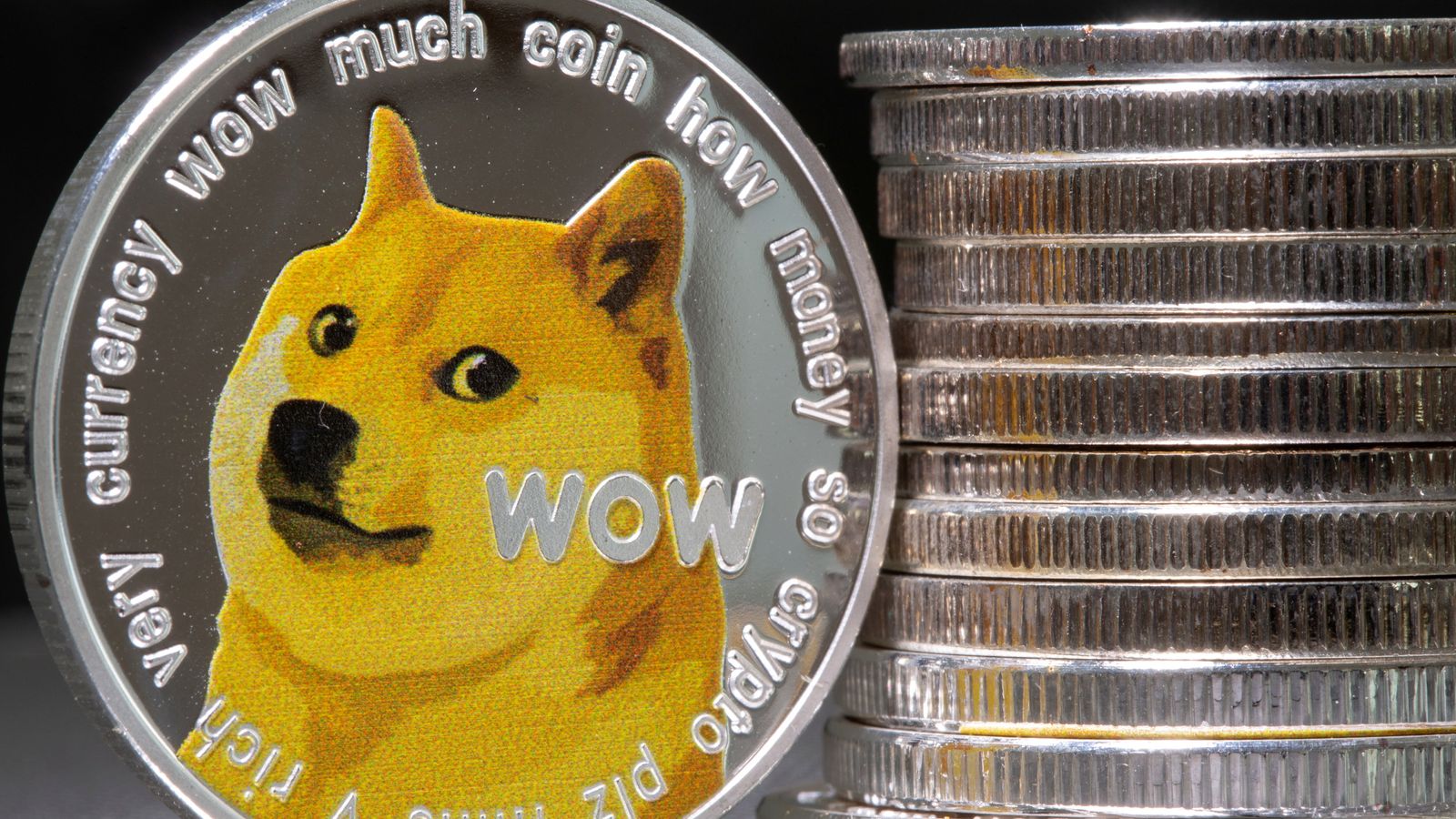 Featured image for "Doge Meme Icon Kabosu Passes Away at 18"