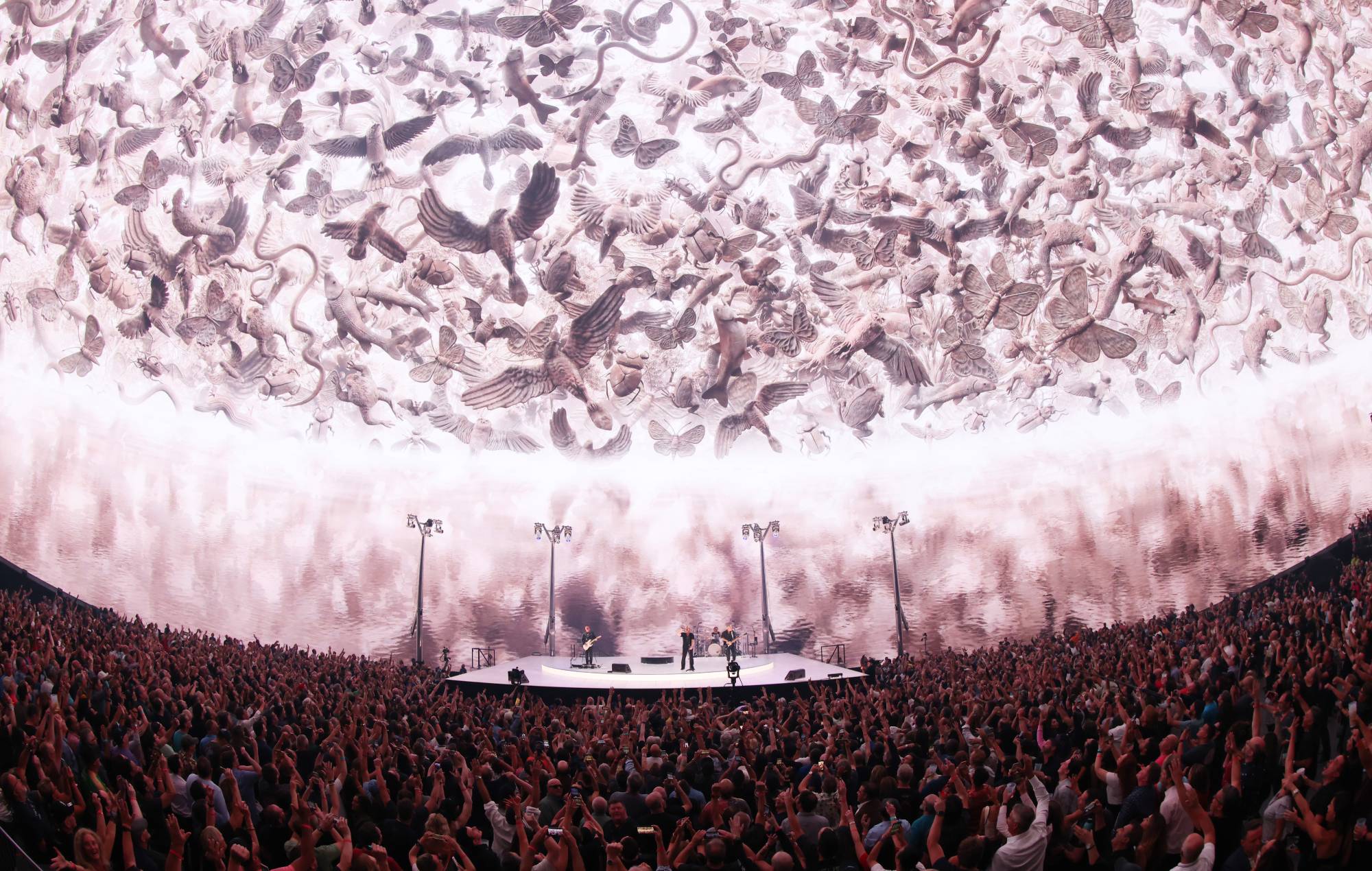 Featured image for U2's Historic Performance at Las Vegas Sphere for 2024 Grammys