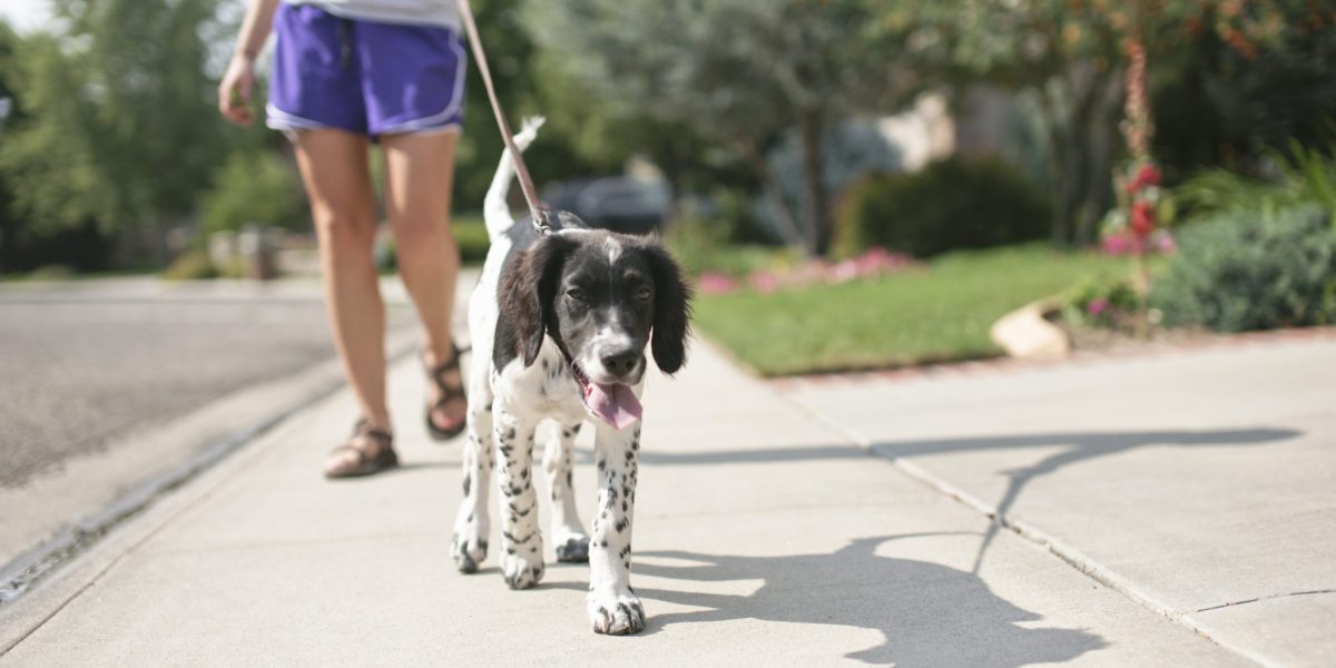 The Surprising Benefits of Walking: Experts Reveal Recommended Weekly Exercise