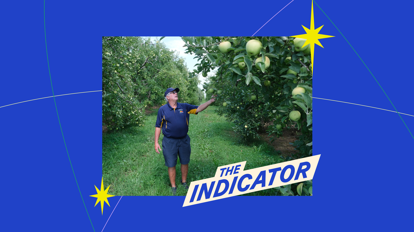 Featured image for US Government Boosts Apple Purchases Amid Market Challenges