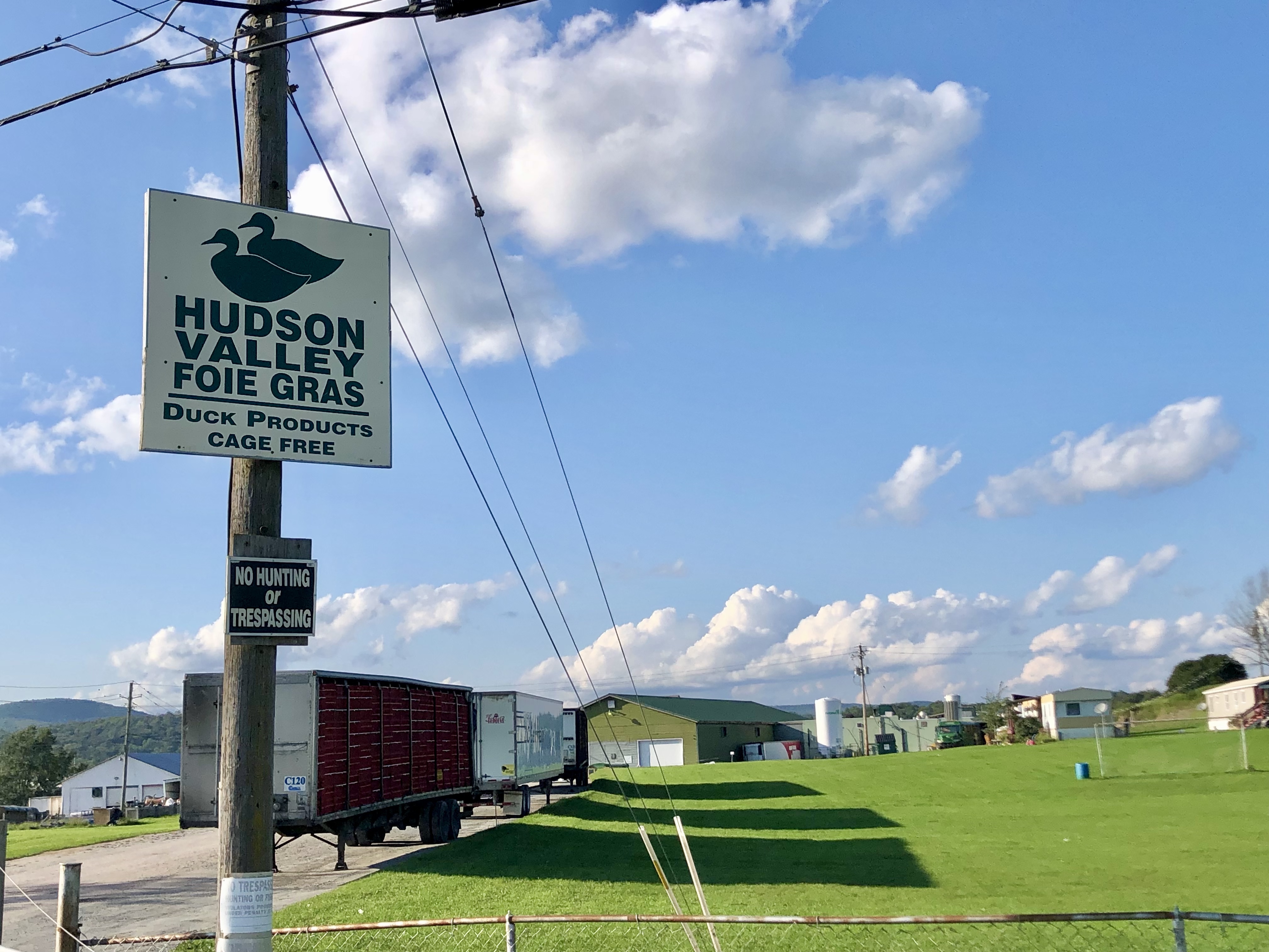 Featured image for The Controversial Battle: Foie Gras Ban Divides New York City's Leaders