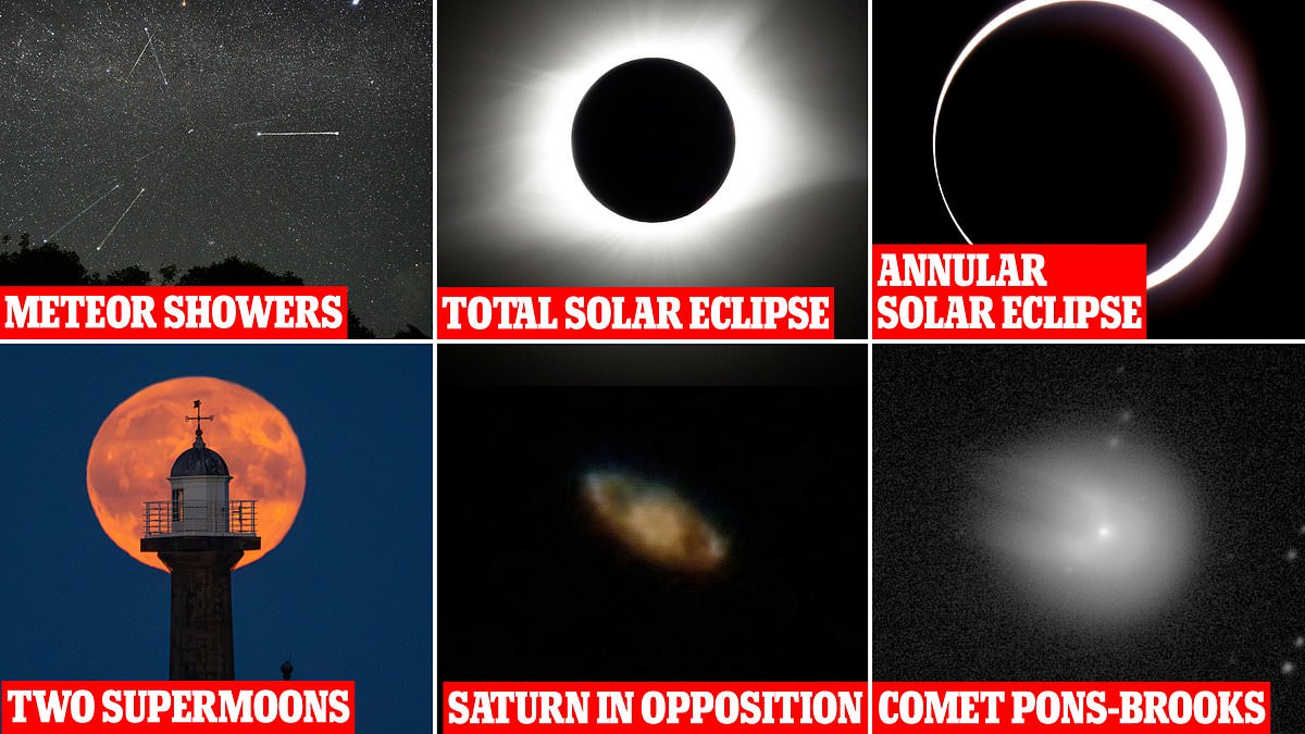 Featured image for "Expert Tips for Viewing 2024's Total Solar Eclipse and Year-Round Celestial Wonders"