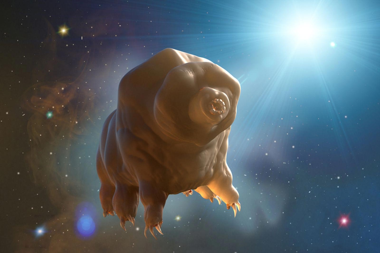 "Tardigrade Genomes: Unveiling Nature's Ultimate Survival Secrets"