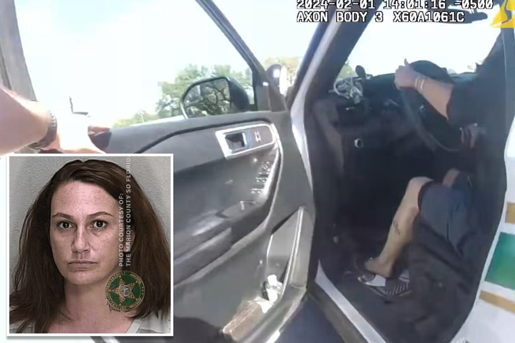Featured image for Woman Steals Deputy's Patrol Car, Causing Fatal Head-On Collision
