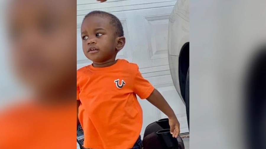 Father accused of putting toddler in alligator-infested lake also charged with mother's murder.