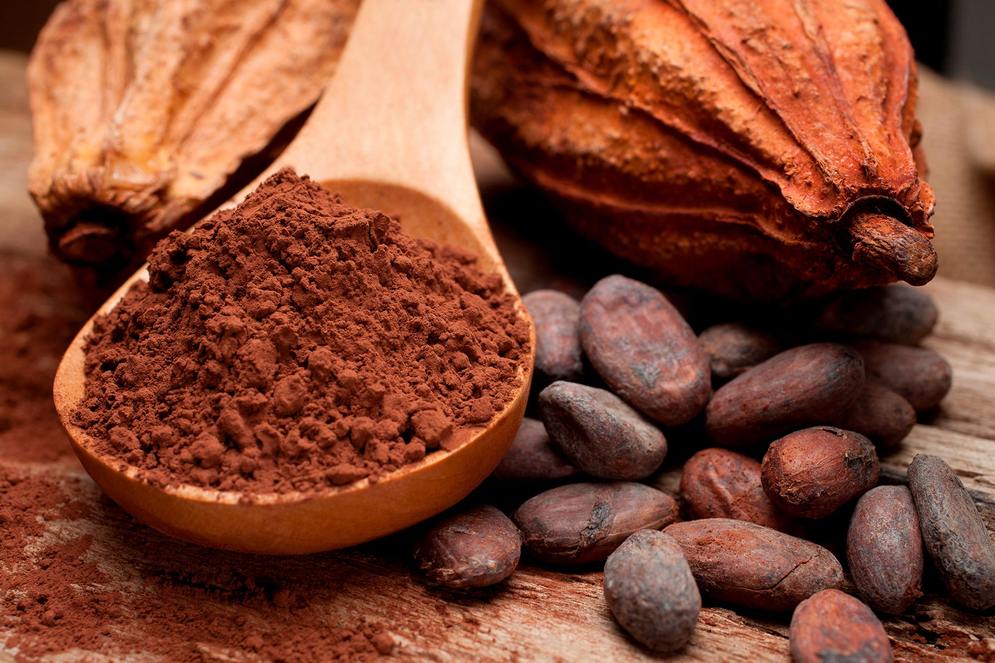 Featured image for "Enhancing Elderly Cognition: Cocoa Extract's Role in Diet-Related Mental Health"