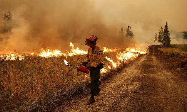 2 Million Lives Lost: Report Exposes Deadly Impact of Extreme Weather Since 1970