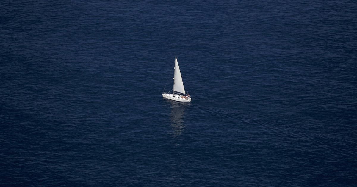 Featured image for The Mysterious Rise of Killer Whale Attacks on Boats in Spain