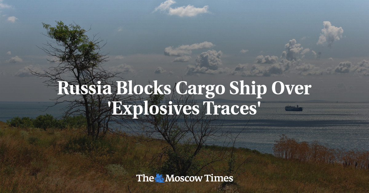 Russia Discovers Explosives Traces on Foreign Grain Ship