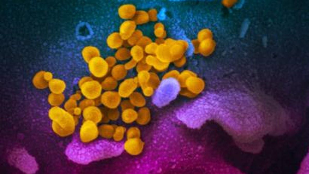 "2024 CDC COVID-19 Guidelines: Changes to Isolation and Testing Policies"