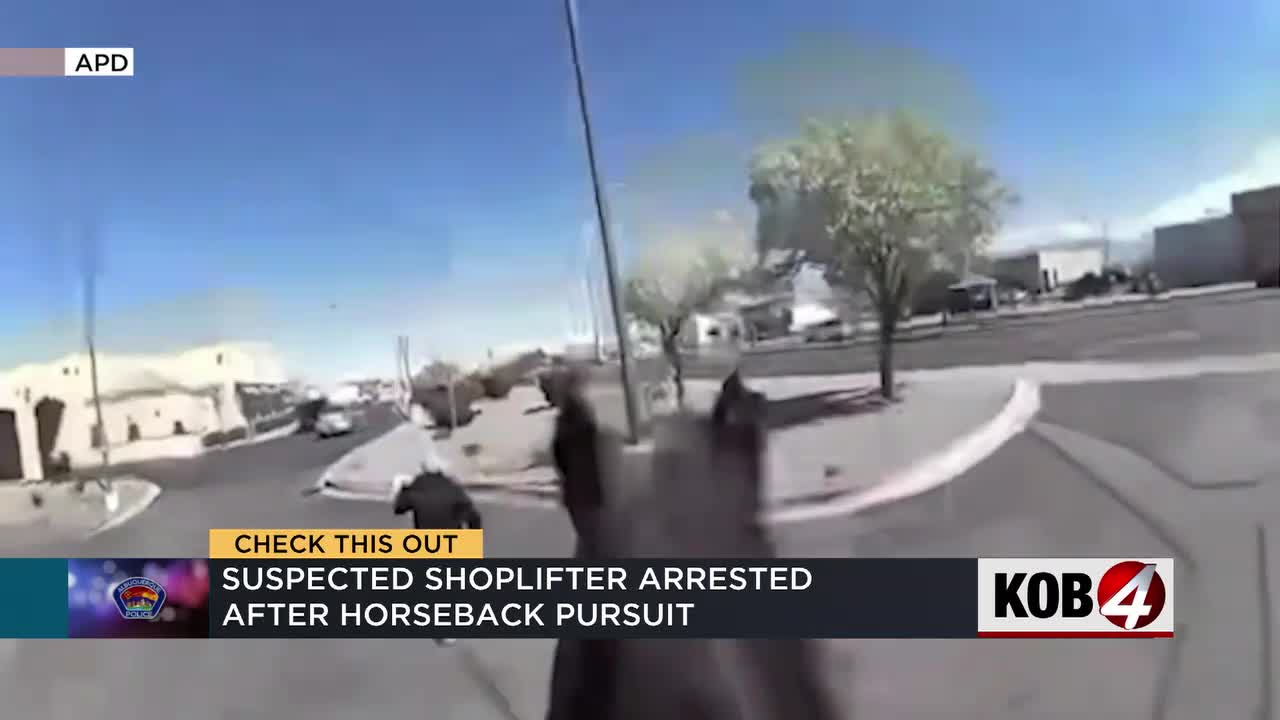 "Albuquerque Police Officers Gallop After Suspected Shoplifter on Horseback"