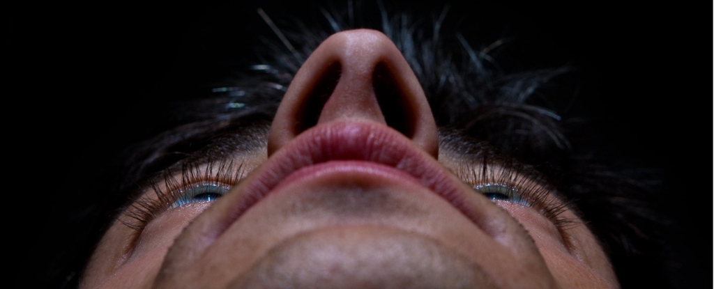 Featured image for The Unique Smell Perception of Each Nostril Explained