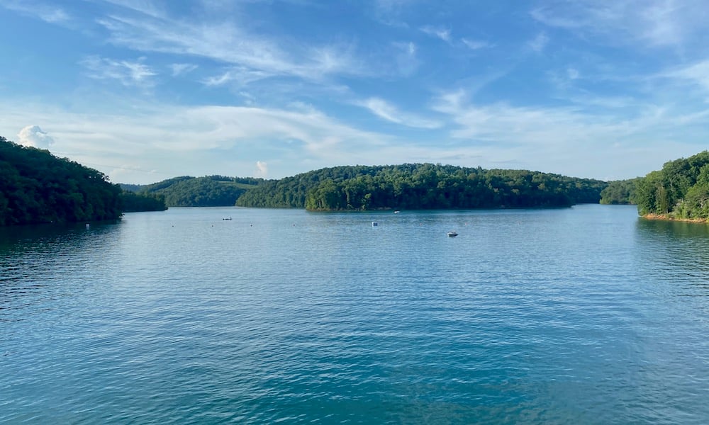 Featured image for Tennessee Angler Surprises Wildlife Officer with Rare Alligator Catch