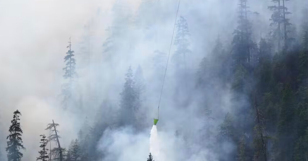 Washington Firefighters Arrested by Border Patrol Amid Wildfire Battle