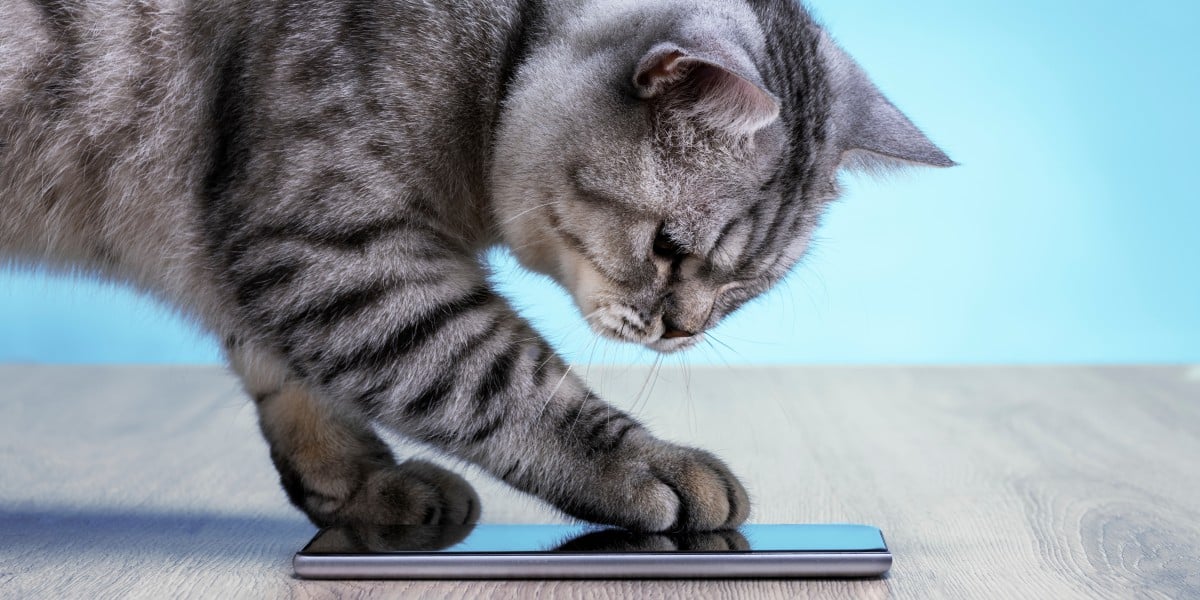 Featured image for Memory and SSD Shortages to Drive Up Smartphone and PC Prices in 2023