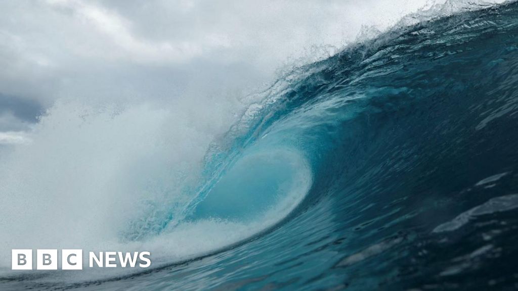 One-Fifth of the Ocean Has Darkened, Threatening Marine Life