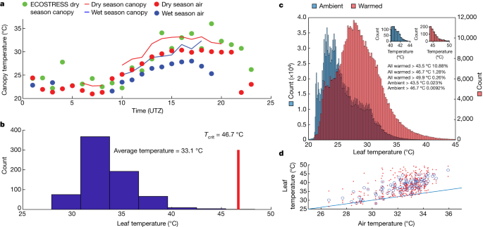 Featured image for Tropical Forests on the Brink: Impending Leaf Death and Photosynthesis Crisis