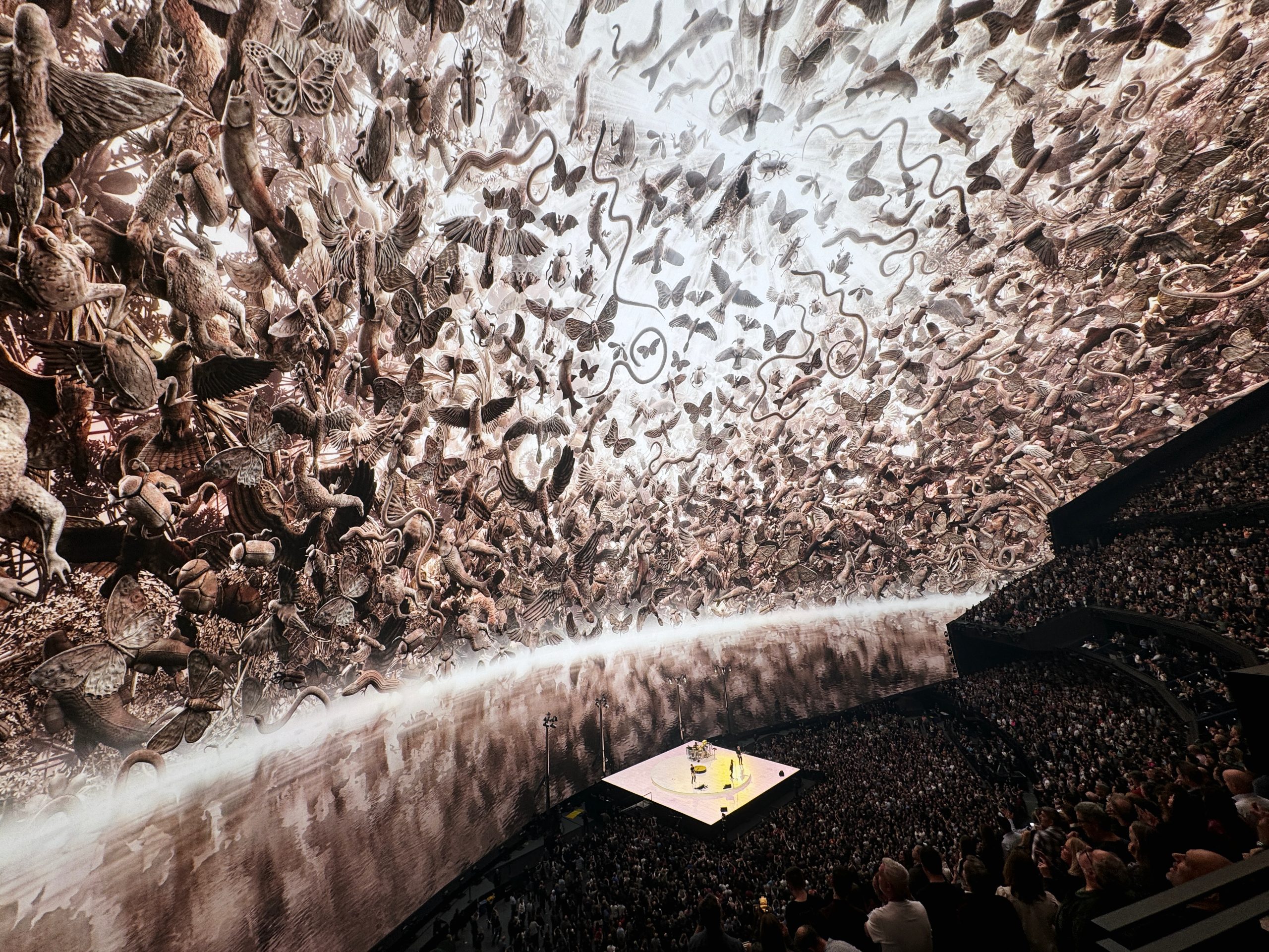 Featured image for "U2's Sphere Residency: Easter Eggs, Bono's Dedication, and Larry Mullen Jr.'s Attendance"