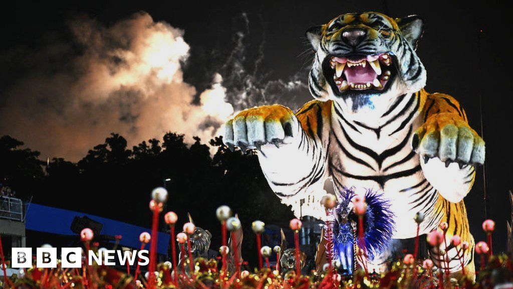 "Rio Carnival: A Spectacular Fusion of Culture, Activism, and Celebration"