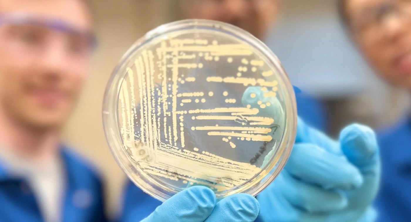 "Breakthrough Synthetic Antibiotic Destroys Drug-Resistant Superbugs"