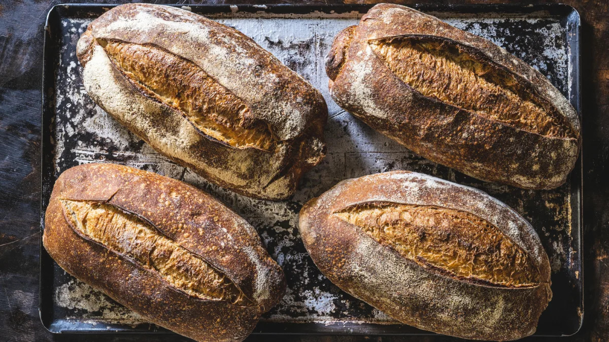 Featured image for "Unlocking the Potential of Sourdough Bread for Gluten-Free Diets"