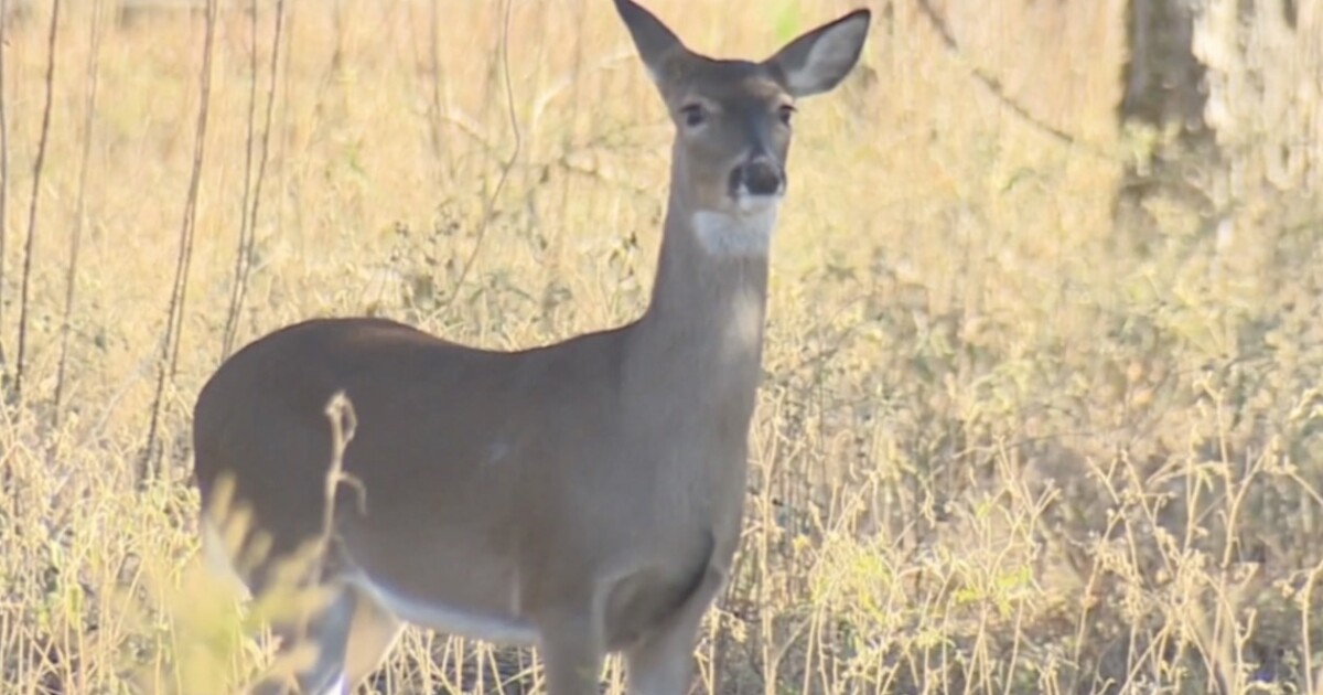 First Confirmed Case of Chronic Wasting Disease in Kentucky