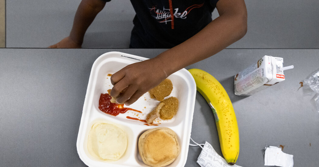 Featured image for "15 GOP-Led States Reject Federal Summer Food Aid for 8 Million Children"