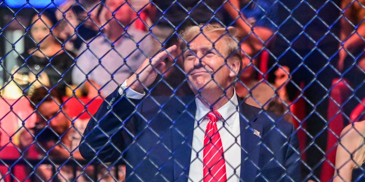 Featured image for "Trump's Positive Stance on Bitcoin Sends Cryptocurrency Soaring"