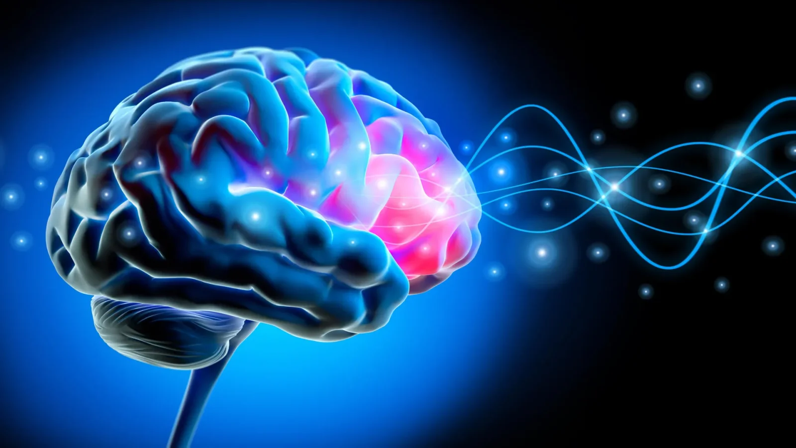 ADHD Brains Drift into Sleep-Like Bursts While Awake, Study Finds