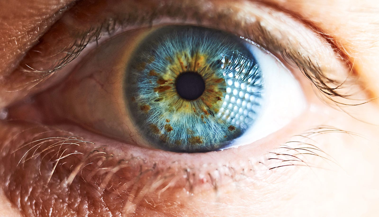 Featured image for DNA Damage: A Crucial Factor in Macular Degeneration