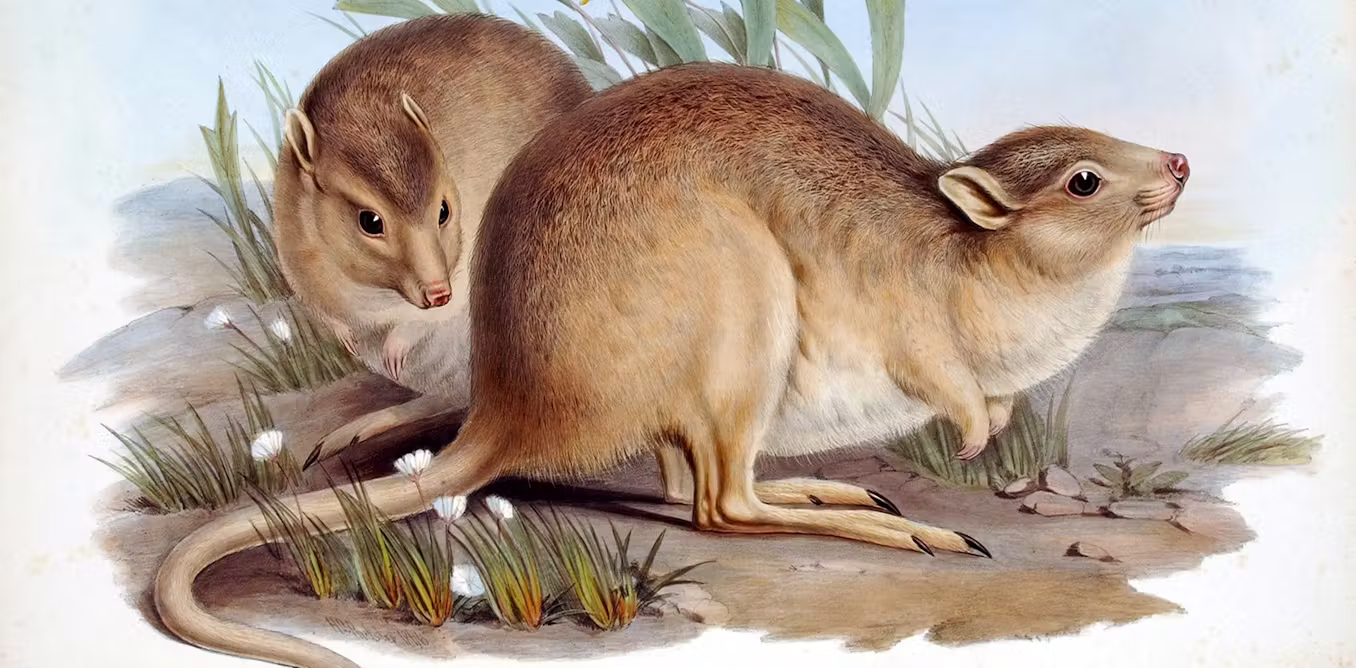 Featured image for The Hidden Costs and Ripple Effects of Species Extinction