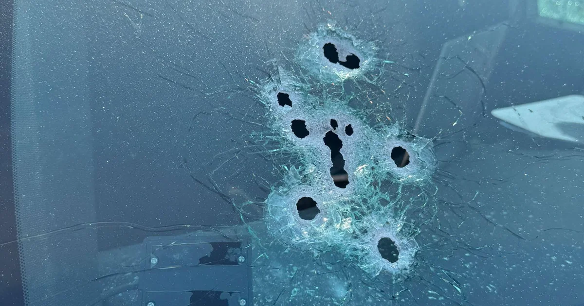 Featured image for Florida man shot by deputies after alligator attack and bizarre confrontation