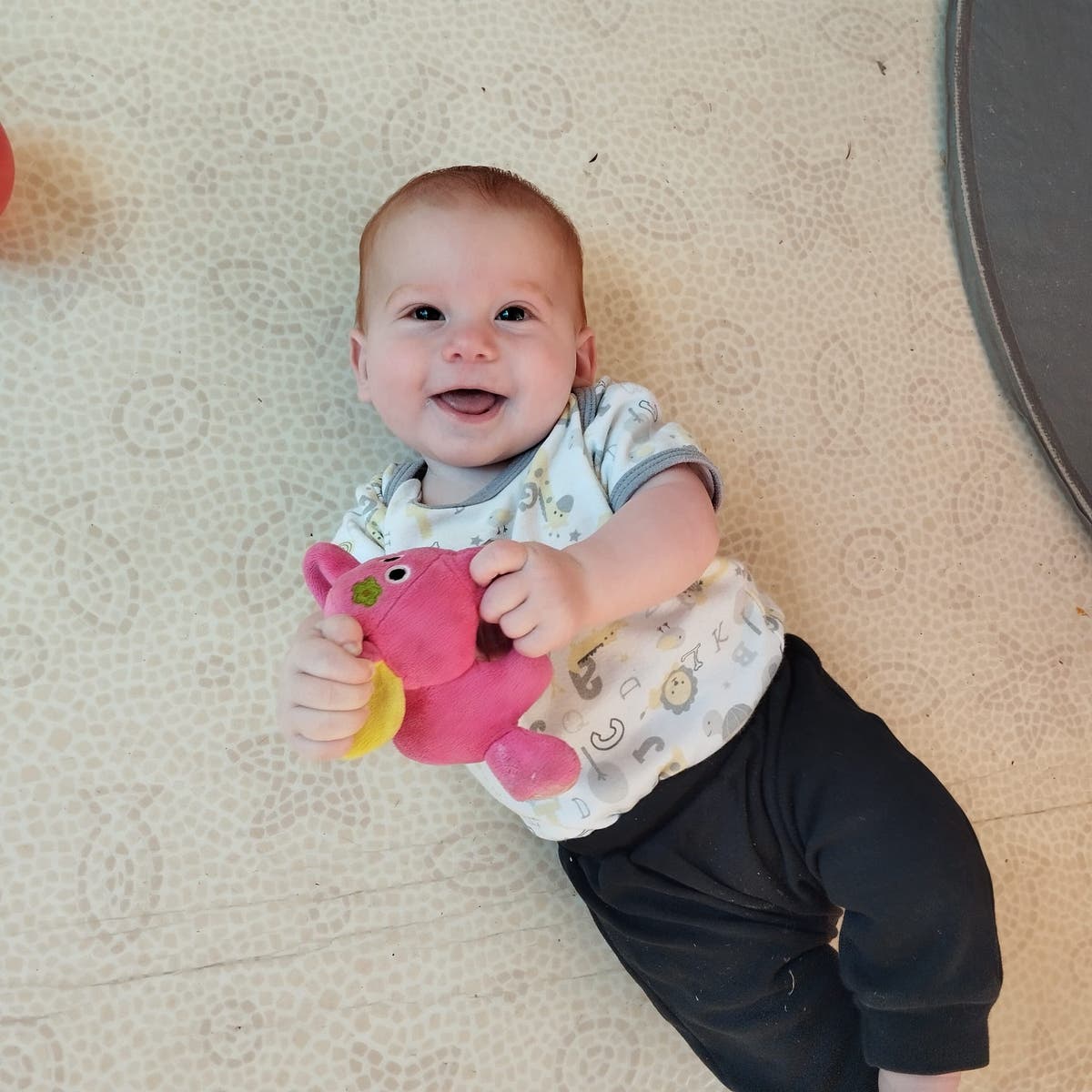 Hamas Claims Tragic Loss of 10-Month-Old Hostage and Family