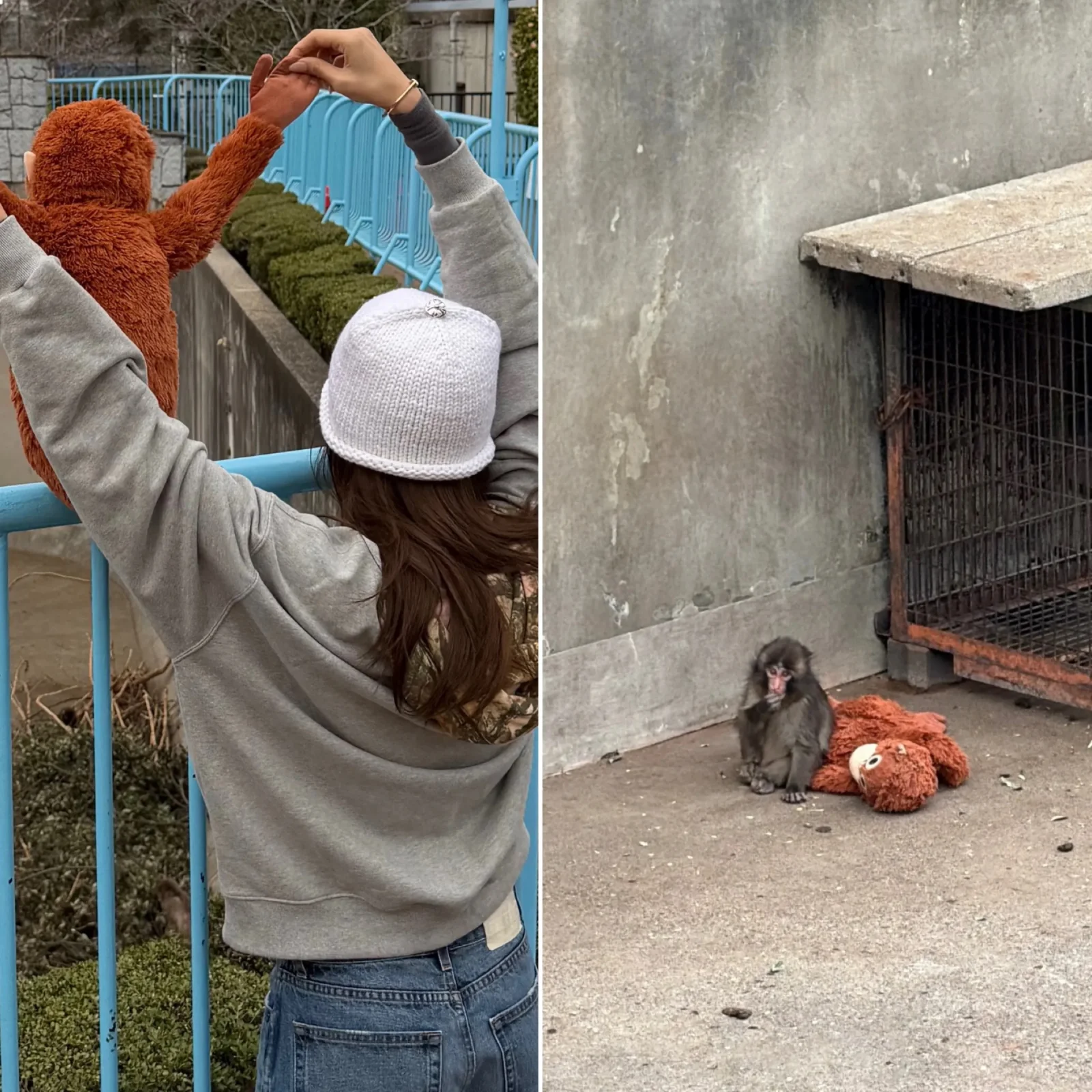 Lisa from Blackpink Sparks Viral Fame for Punch the Monkey