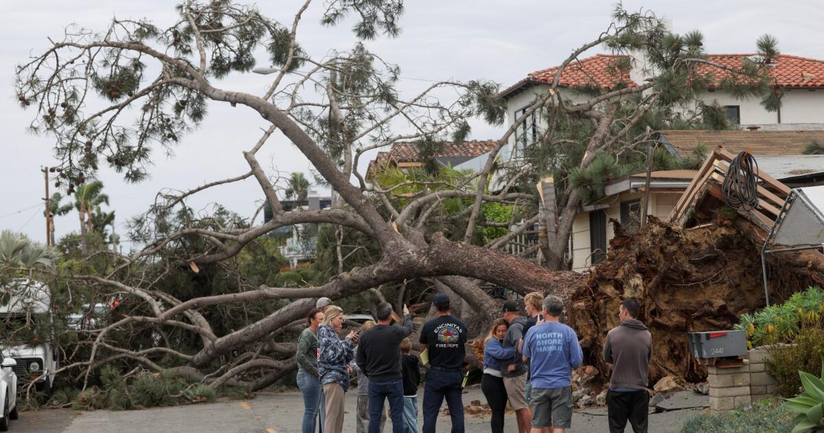 Featured image for Storm Causes Multiple Fatalities and Power Outages in San Diego