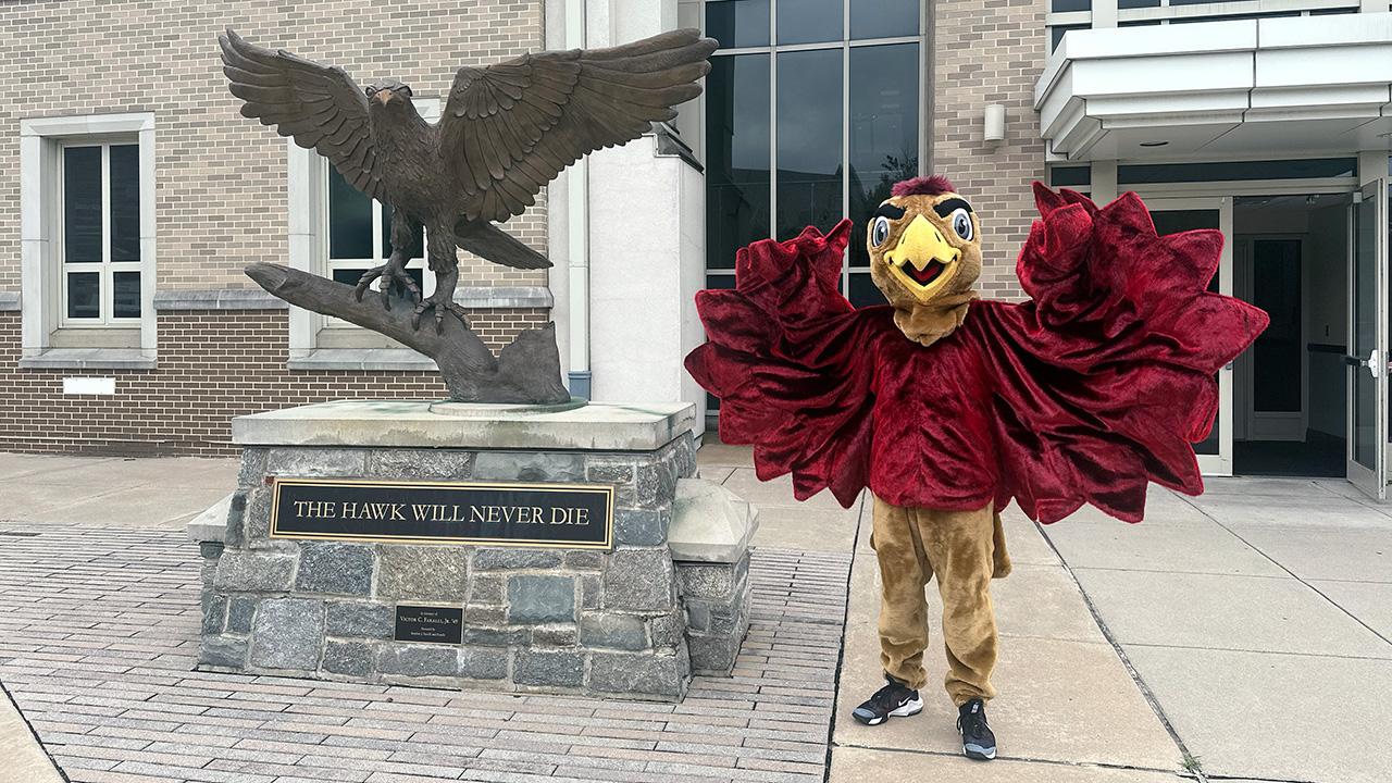 Featured image for St. Joe's Hawk Gets a Refresh with New Feathers